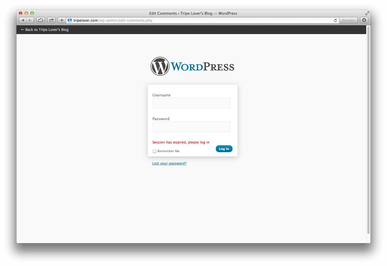 How to craft an XSS payload to create an admin user in Wordpress